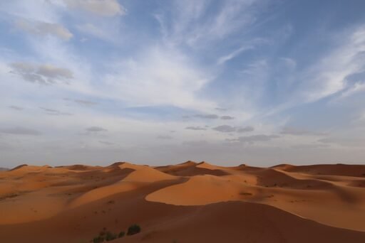 Dentistas y el Cambio Climático: Cómo la Odontología Puede Ser Sostenible